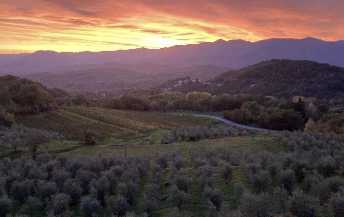 degustazioni vino colli di luni lunigiana toscana