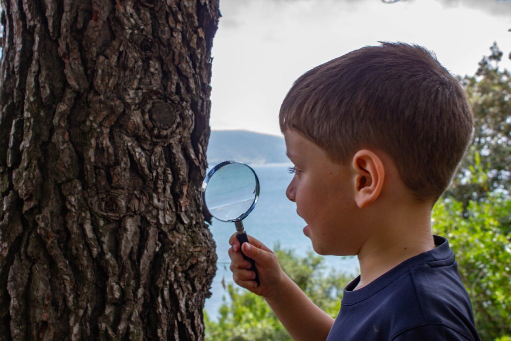 bambino con la lente sulla corteccia di un albero