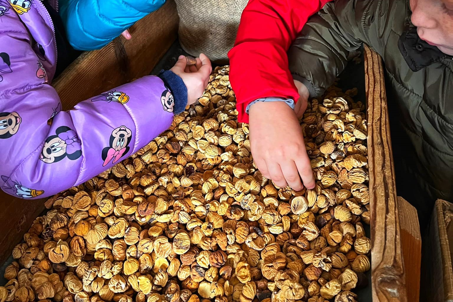 Selezione delle castagne dopo l'essicazione